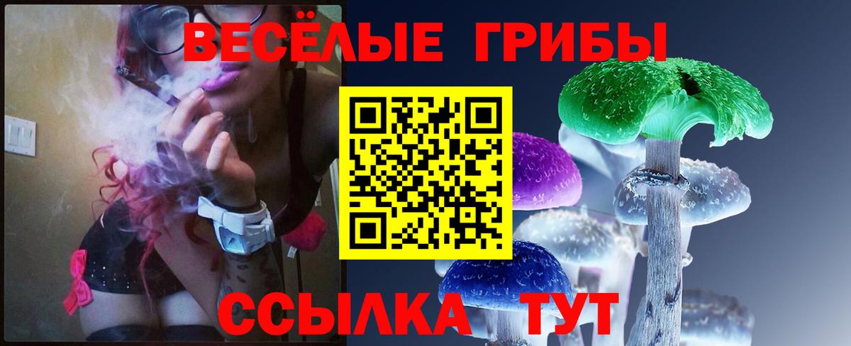 Галлюциногенные грибы мухоморы  где можно купить наркотик  Ульяновск  Вход с VPN  Псилоцибиновые грибы ЛСД 